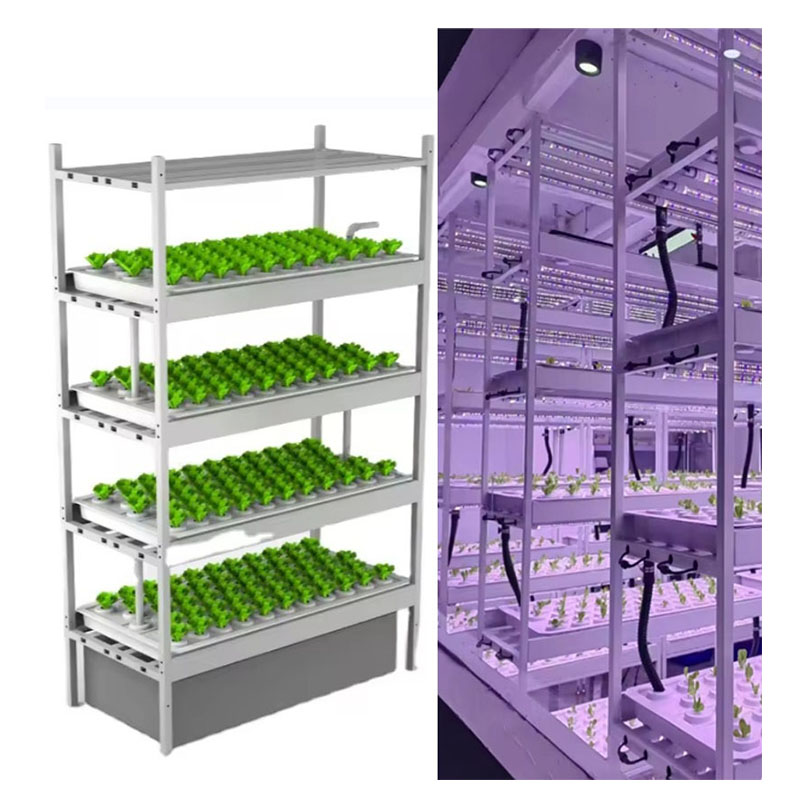 Sera Tarım Ekipmanları Mantar  - Agriculture Farming Systems incelemesi ve fiyatı