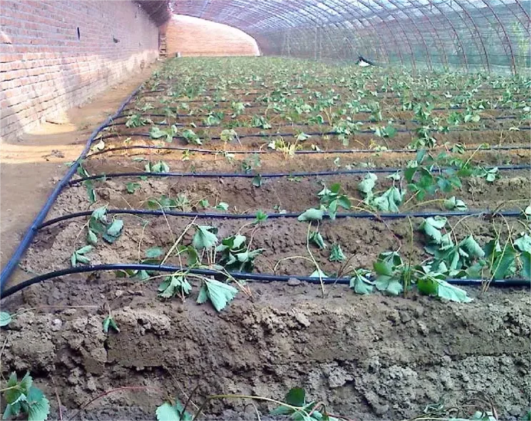 1HA Sulama Kiti Tarım Aracı 20 - Agriculture Farming Systems incelemesi ve fiyatı