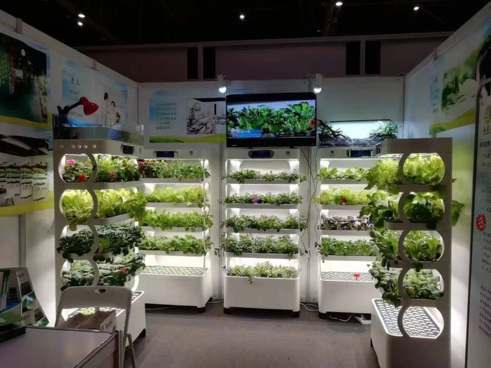 Sebze, Marul ve Çilek Yetiştir - Agriculture Farming Systems incelemesi ve fiyatı